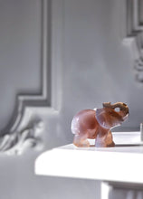 画像をギャラリービューアに読み込む, Brown Flower Agate Geode Elephant - small 148g #424