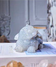 이미지를 갤러리 뷰어에 로드 , Blue Agate Geode Cat Carving - 515g #397