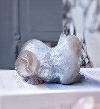 將圖片載入圖庫檢視器 Agate Geode Cat Carving - 580g #264