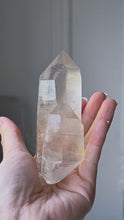 비디오를 갤러리 뷰어 Smoky Lemurian Seed Quartz - 227g #354에 로드 및 재생