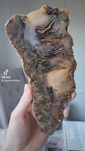 비디오를 갤러리 뷰어 Sagenite Agate Slab with Rutile Inclusion - 416g #231에 로드 및 재생