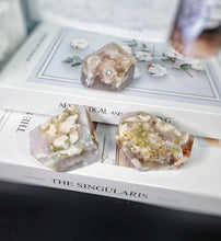 이미지를 갤러리 뷰어에 로드 , Flower Agate Freeform Set - 406g #6