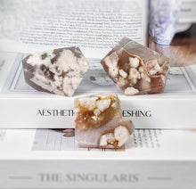 이미지를 갤러리 뷰어에 로드 , Flower Agate Freeform Set - 474g #8