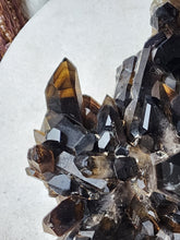 Load image into Gallery viewer, Extra Large Smoky Citrine Quartz Cluster - 17.15kg
