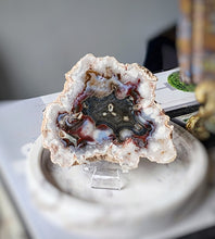 画像をギャラリービューアに読み込む, Argentina Flower Agate Slice - small #70
