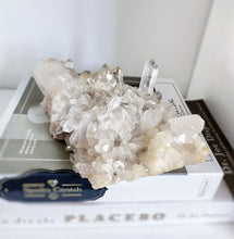 Cargar imagen en el visor de la galería, Himalayan Quartz Cluster - 623g #169
