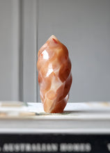 画像をギャラリービューアに読み込む, Carnelian Flower Agate Flame - 367g #33
