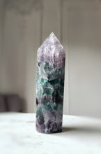 Load image into Gallery viewer, Rainbow/ Green Fluorite Twin Tower - 546g #64
