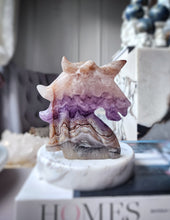 將圖片載入圖庫檢視器 Amethyst &amp; Agate Unicorn - 336g #273
