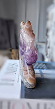 將圖片載入圖庫檢視器 Amethyst &amp; Agate Unicorn - 336g #273
