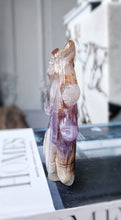 將圖片載入圖庫檢視器 Amethyst &amp; Agate Unicorn - 336g #273
