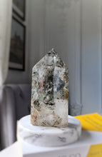 將圖片載入圖庫檢視器 Garden Quartz / Lodolite Tower - 894g #174
