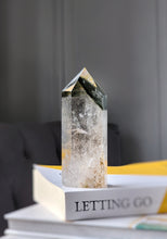 將圖片載入圖庫檢視器 Garden Quartz / Lodolite Green Phantom Tower - 314g #169
