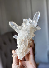 画像をギャラリービューアに読み込む, Himalayan Quartz Cluster - 313g #332
