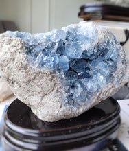 將圖片載入圖庫檢視器 High Grade Celestite Cluster on Wooden Stand - 4.9kg #93
