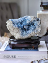 將圖片載入圖庫檢視器 High Grade Celestite Cluster on Wooden Stand - 4.9kg #93
