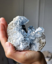 Load image into Gallery viewer, High Grade Celestite Cluster - 658g #65
