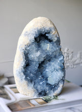 Load image into Gallery viewer, Celestite Cluster / Cutbase - 3.73kg #83
