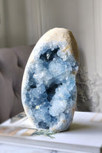 Load image into Gallery viewer, 20% OFF | Celestite Cluster / Cutbase - 3.73kg #83
