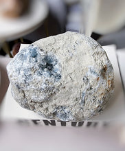 Load image into Gallery viewer, Celestite Geode Cluster - 3.27kg #124
