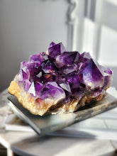 Load image into Gallery viewer, Large Congo Amethyst Cluster - 4.13kg #50
