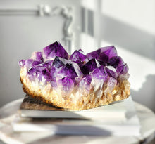 Load image into Gallery viewer, Large Congo Amethyst Cluster - 4.13kg #50
