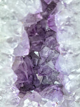 將圖片載入圖庫檢視器 Amethyst x Blue Agate Cave / Geode - 8.92kg #100
