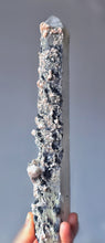 將圖片載入圖庫檢視器 | Rare | Mongolian Quartz Point / Cluster - 458g #110
