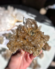 画像をギャラリービューアに読み込む, Golden Himalayan Quartz Cluster - 217g #407
