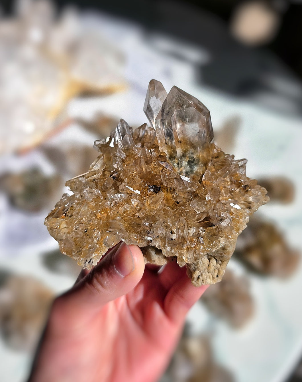 Golden Himalayan Quartz Cluster - 217g #407