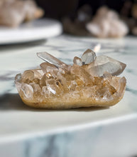 画像をギャラリービューアに読み込む, Golden Himalayan Quartz Cluster - 194g #409
