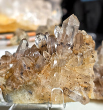 画像をギャラリービューアに読み込む, Golden Smoky Himalayan Quartz Cluster on Stand - 318g #425
