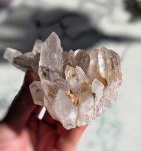 画像をギャラリービューアに読み込む, Smoky Himalayan Quartz Cluster - 228g #427
