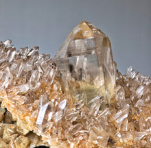 Load image into Gallery viewer, | RARE | Double Layer Golden Smoky Himalayan Quartz with Phantom Inclusion - 1.65kg #441
