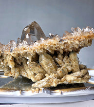 Load image into Gallery viewer, | RARE | Double Layer Golden Smoky Himalayan Quartz with Phantom Inclusion - 1.65kg #441
