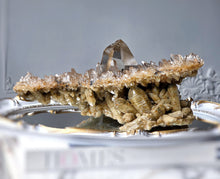 Load image into Gallery viewer, | RARE | Double Layer Golden Smoky Himalayan Quartz with Phantom Inclusion - 1.65kg #441

