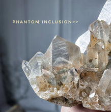 画像をギャラリービューアに読み込む, Phantom Smoky Golden Himalayan Quartz with Green Chlorite Inclusion - 707g #444
