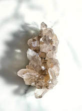 Load image into Gallery viewer, Smoky Himalayan Quartz Cluster - 294g #451
