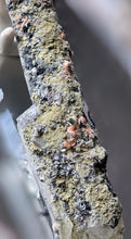 Load image into Gallery viewer, | RARE | Mongolian Quartz Point - 427g #144
