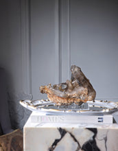 이미지를 갤러리 뷰어에 로드 , Smoky Citrine Quartz x Mica Cluster on Clear Stand - 1.67kg #370
