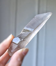 이미지를 갤러리 뷰어에 로드 , Smoky Lemurian Seed Quartz - 58g #359
