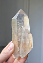 이미지를 갤러리 뷰어에 로드 , Smoky Lemurian Seed Quartz - 227g #354
