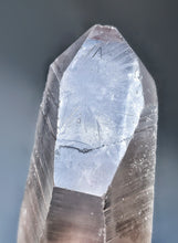 이미지를 갤러리 뷰어에 로드 , Record Keeper - Smoky Lemurian Seed Quartz - 94g #355
