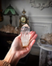 画像をギャラリービューアに読み込む, Lemurian Seed Clear Quartz - 204g #352
