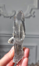 Cargar imagen en el visor de la galería, Lemurian Seed Garden Quartz - 70g #346
