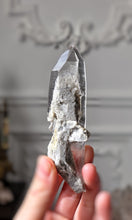 Cargar imagen en el visor de la galería, Lemurian Seed Garden Quartz - 70g #346
