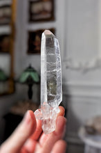 Cargar imagen en el visor de la galería, Lemurian Seed Clear Quartz - 71g #348
