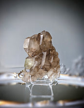 Cargar imagen en el visor de la galería, Elestial Smoky Skeleton / Skeletal Quartz Cluster - 340g #1
