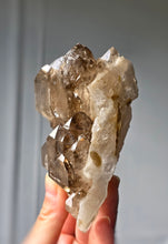 Cargar imagen en el visor de la galería, Elestial Smoky Skeleton / Skeletal Quartz Cluster - 340g #1
