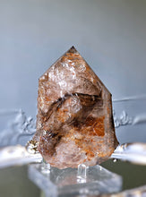 將圖片載入圖庫檢視器 Elestial Smoky Skeleton / Skeletal Quartz on Stand - 1.09kg #101
